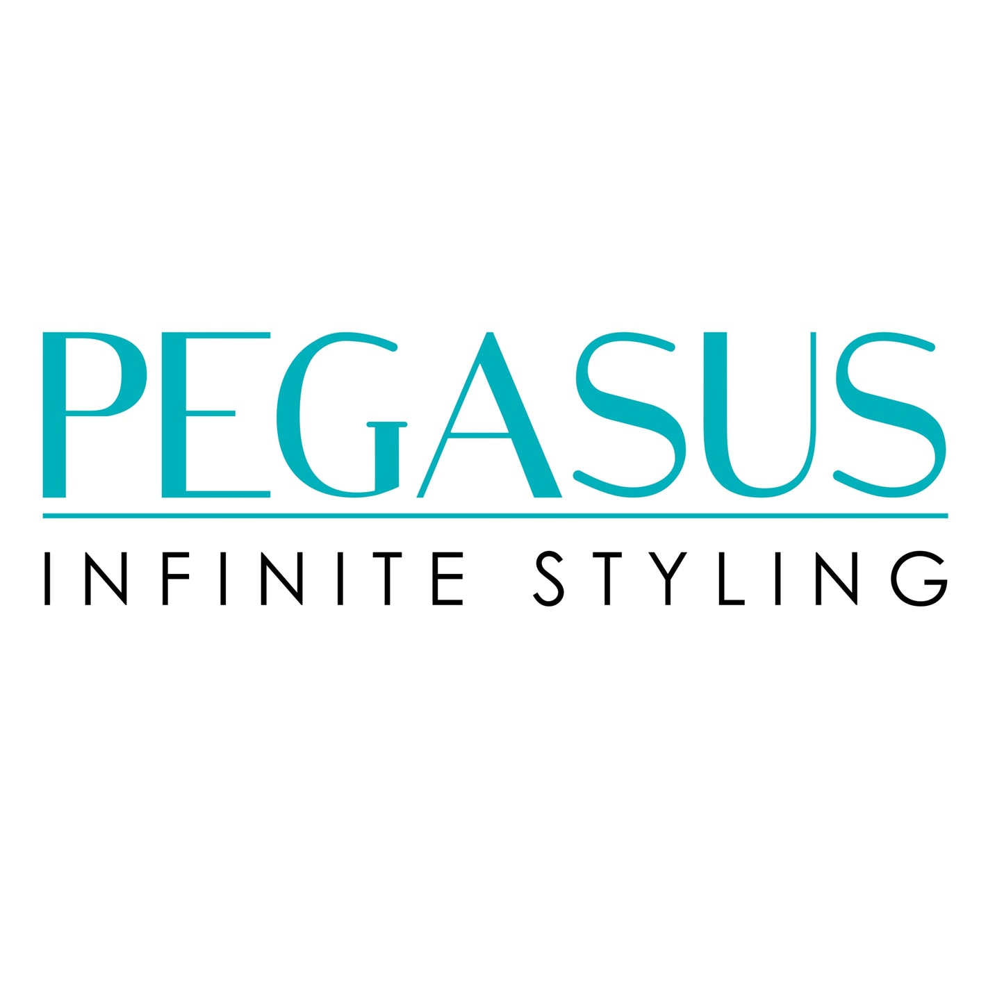 Pegasus 105, 9.5in, Hard Rubber Pintail Tease Comb, Smooth Edges, Anti Static, Heat and Chemically Resistant, Stainless Steel Pin, Great for Parting, Coloring Hair | Peines de goma dura - Black